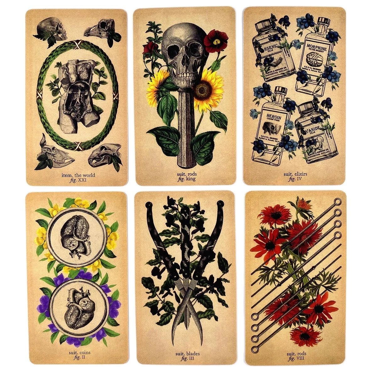 古典解刨塔羅牌The Antique Anatomy Tarot-魔法塔羅