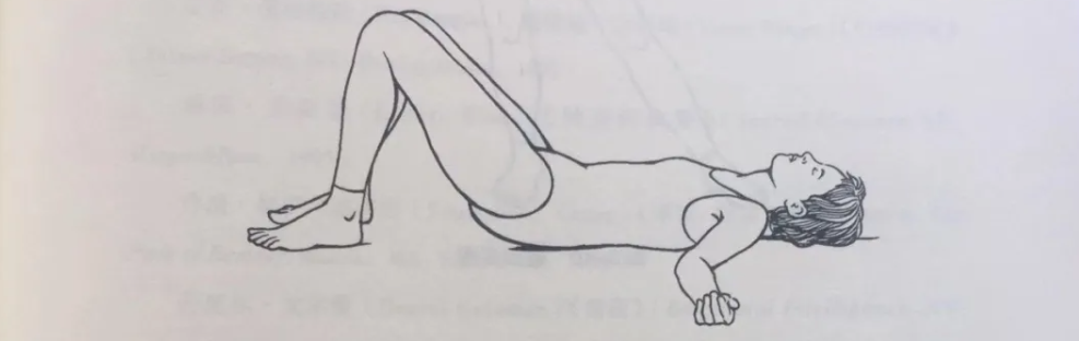 開啟生殖輪的練習