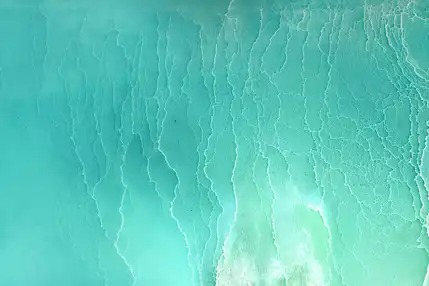 十二星座一周運勢（2021.12.6-12.12）