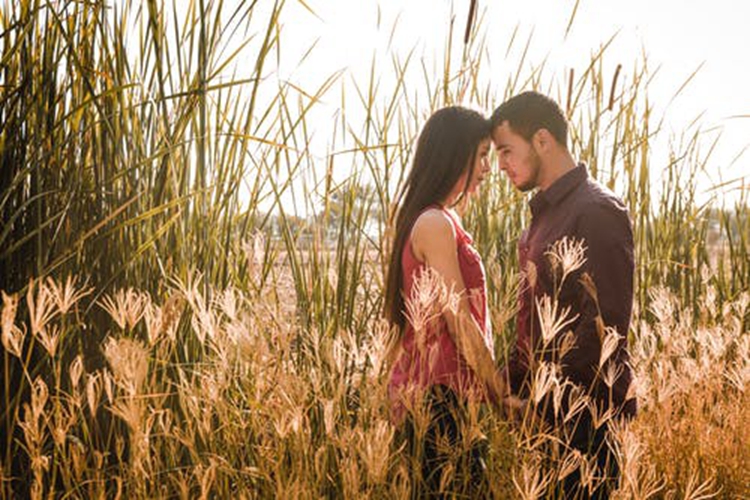 天秤座的理想型