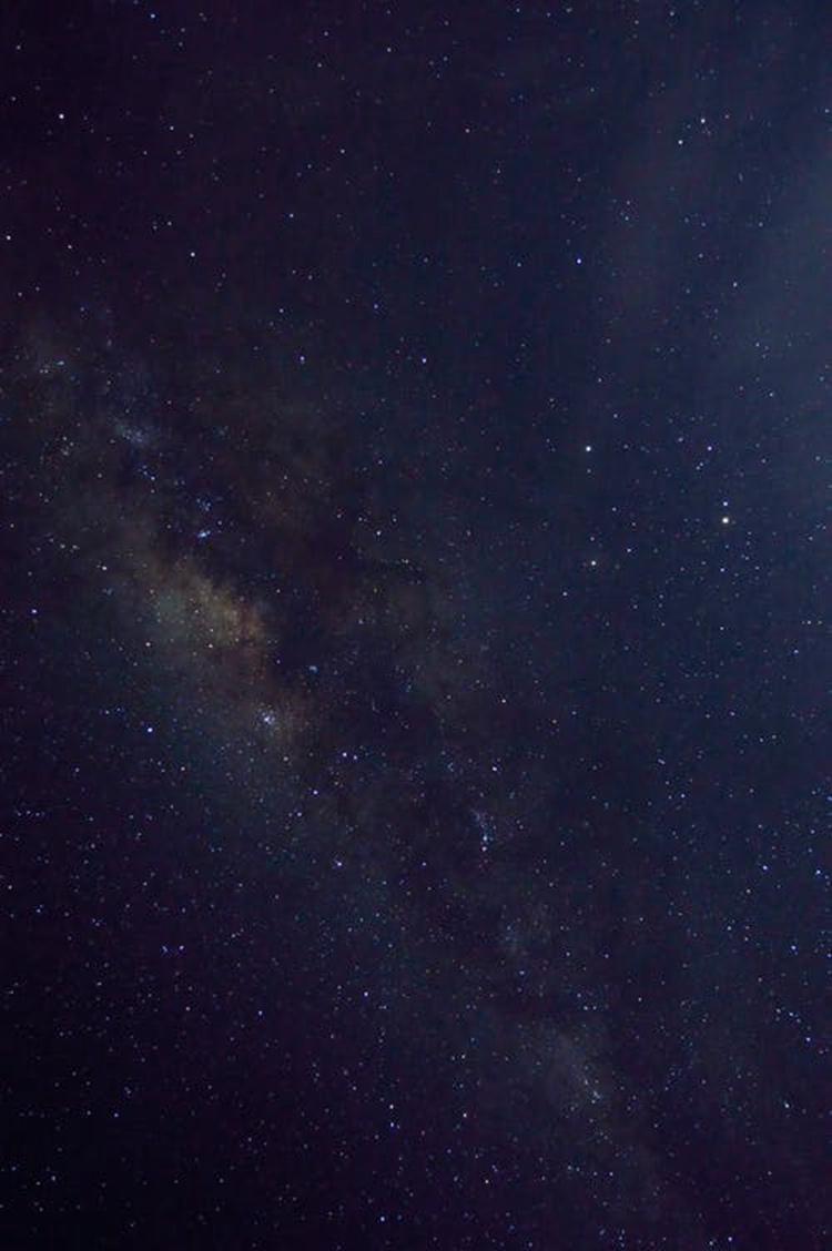 處女座2月份運勢