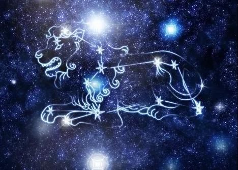 關於獅子座你需要知道的27件事