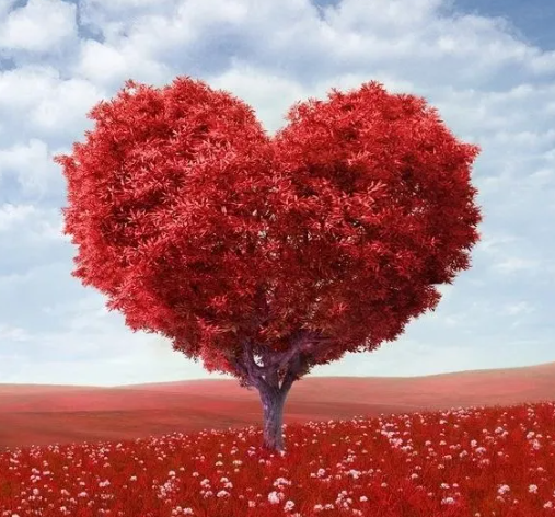 紅色星期一海底輪