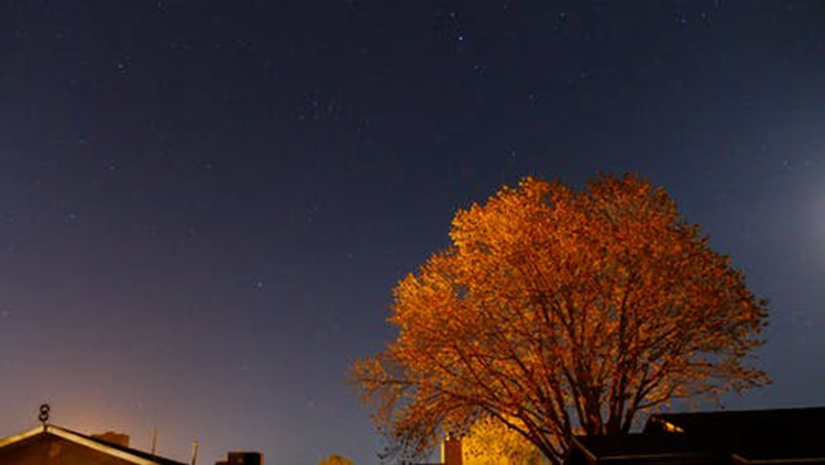 2月十二星座運勢出爐~天蠍座過年會有紅包好運