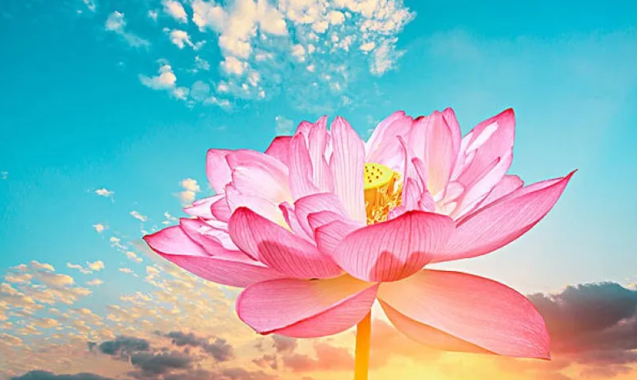 脈輪是什麼? 脈輪的作用是什麼?