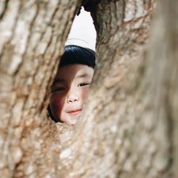 療愈海底輪建立强健的金錢事業地基