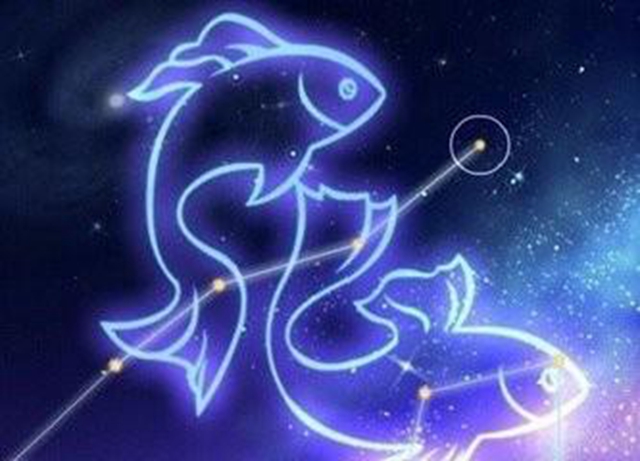 雙魚座喜歡與不喜歡的表現