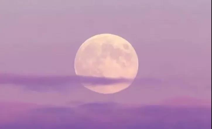 星象预警|本周避雷指南0117-0123