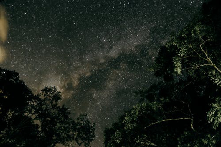 上升星座看你會有怎樣的原生家庭（二）