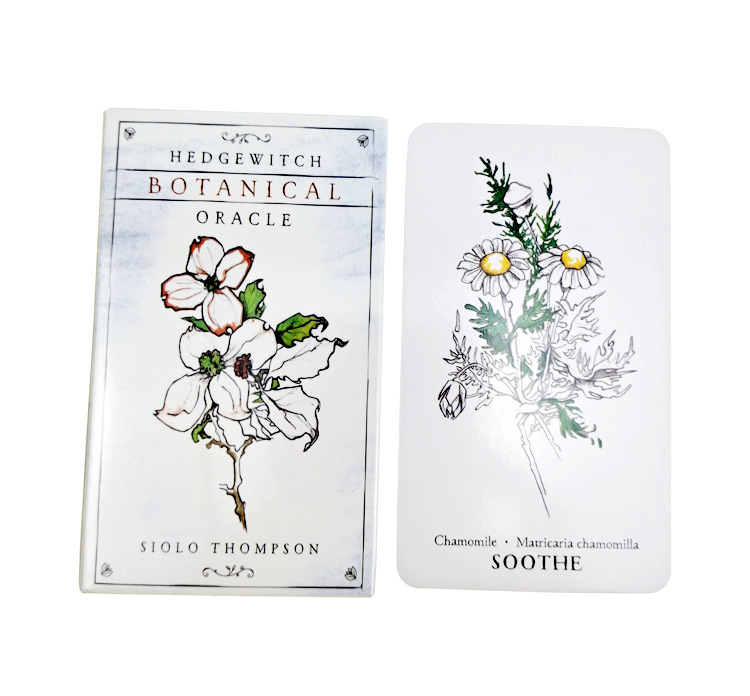 植訊神諭卡Hedgewitch Botanical Oracle-魔法塔羅