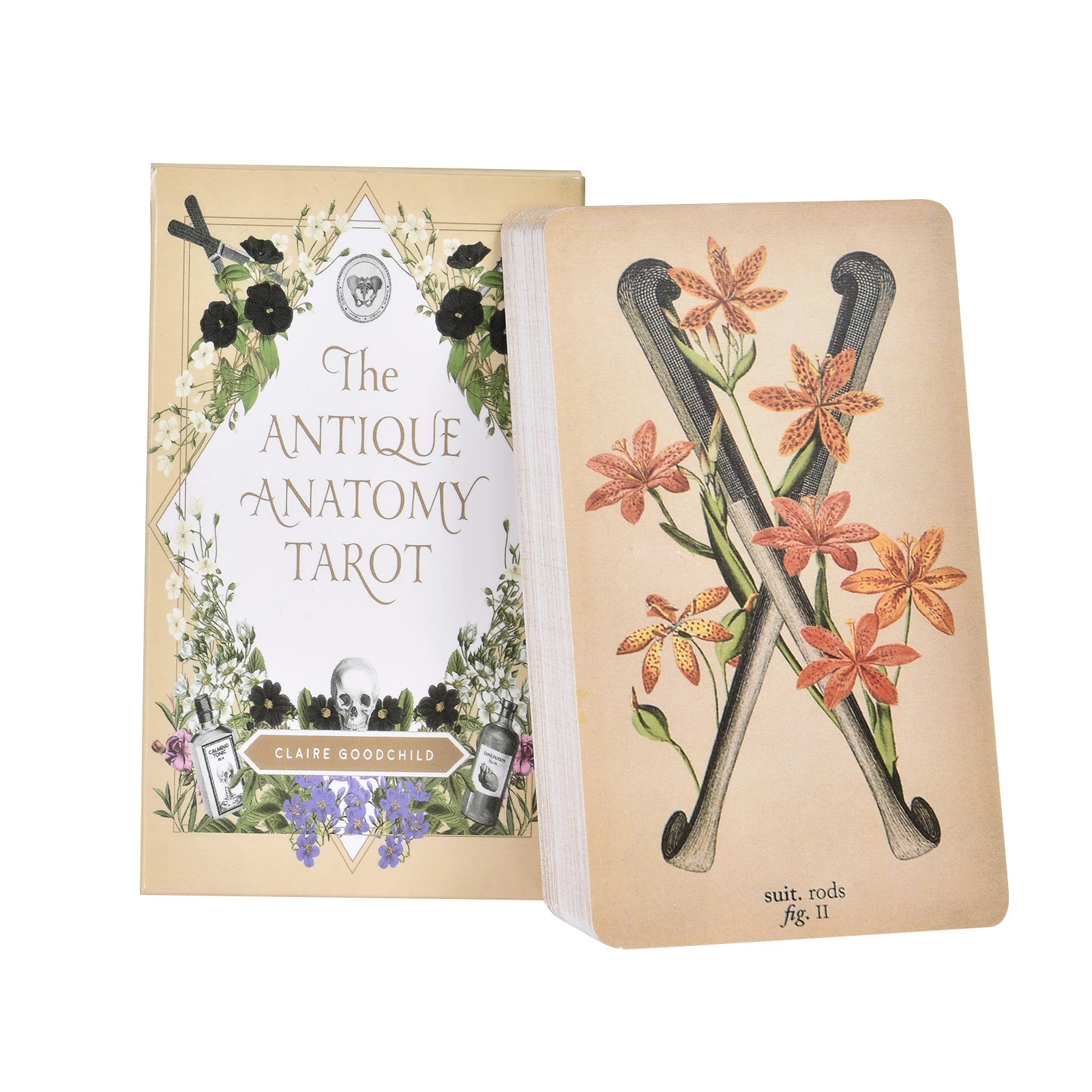 古典解刨塔羅牌The Antique Anatomy Tarot