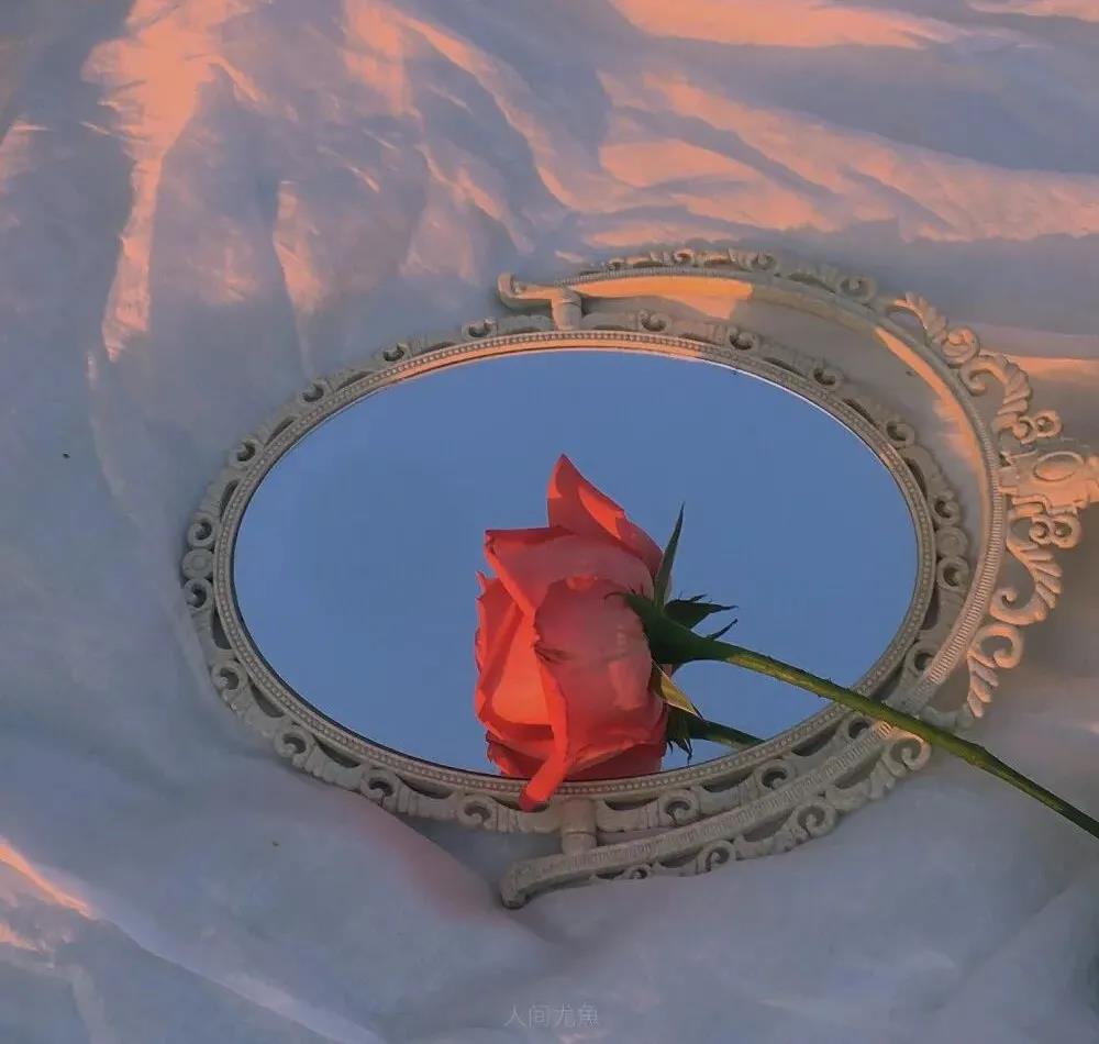 塔羅牌占卜：他想不想複合