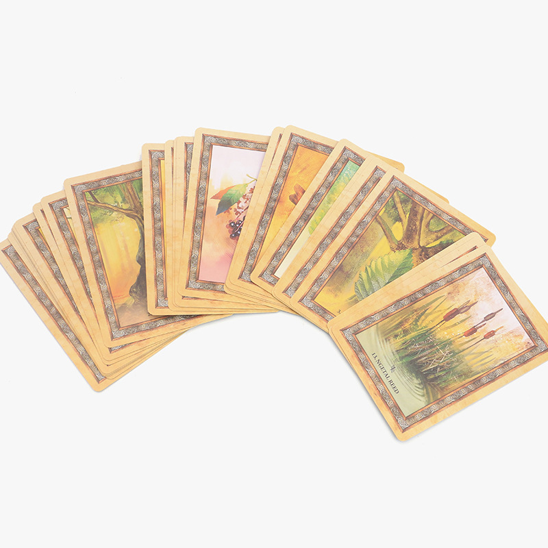  凱爾特之樹神諭卡Celtic Tree Oracle -魔法塔羅