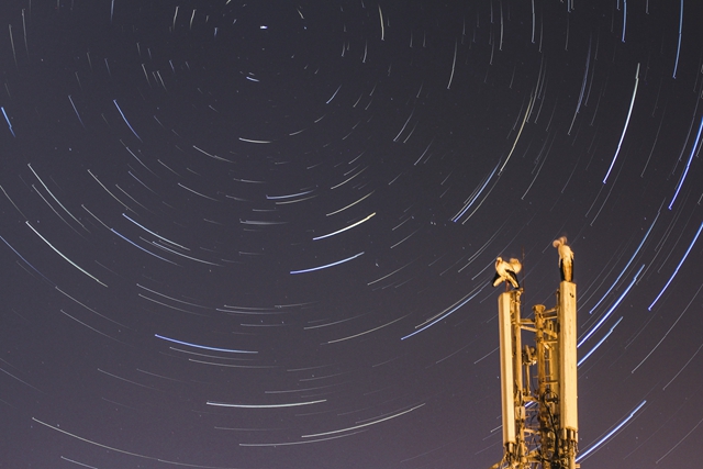 用一個比喻讓你秒懂行星廟旺落陷的影響—金星篇