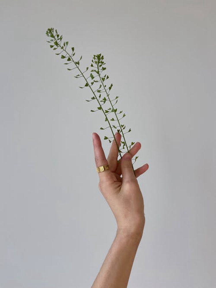 星座七宗罪丨貪婪，十二星座的貪欲分別是什麼