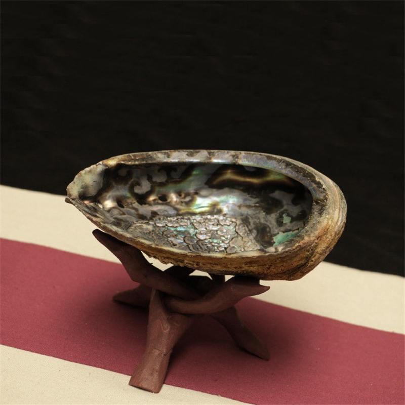 鼠尾草貝殼支架-魔法塔羅