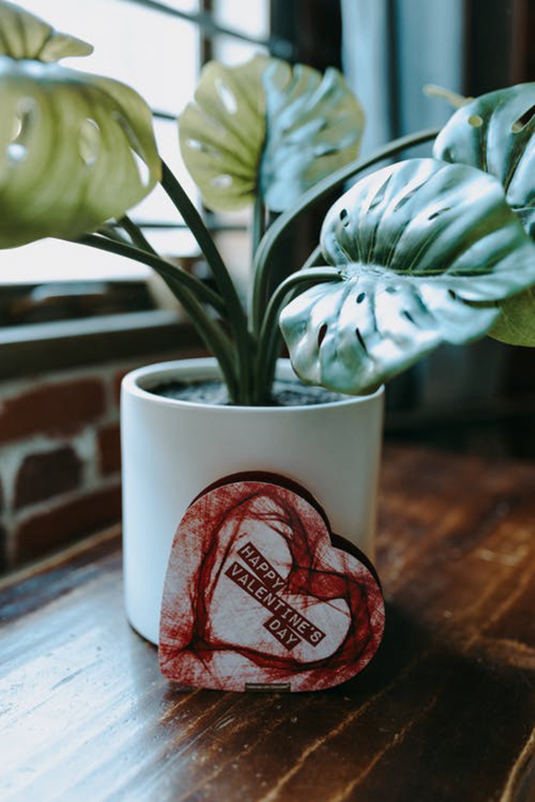 “還想和這些星座談戀愛”