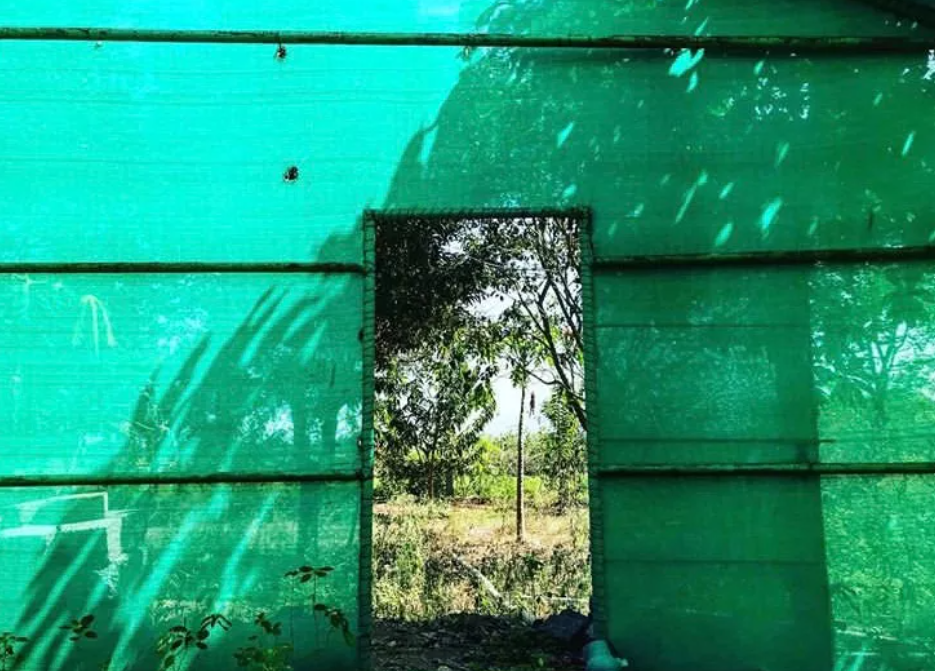 淨化喉輪:打開你的七重表達