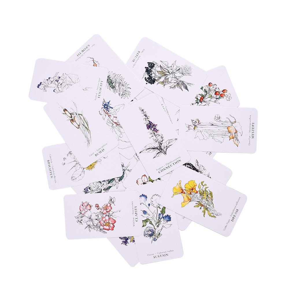 植訊神諭卡Hedgewitch Botanical Oracle-魔法塔羅