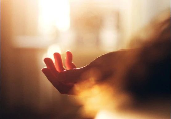 療愈海底輪建立强健的金錢事業地基