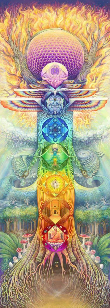 你的七大脈輪能量中心是否平衡?