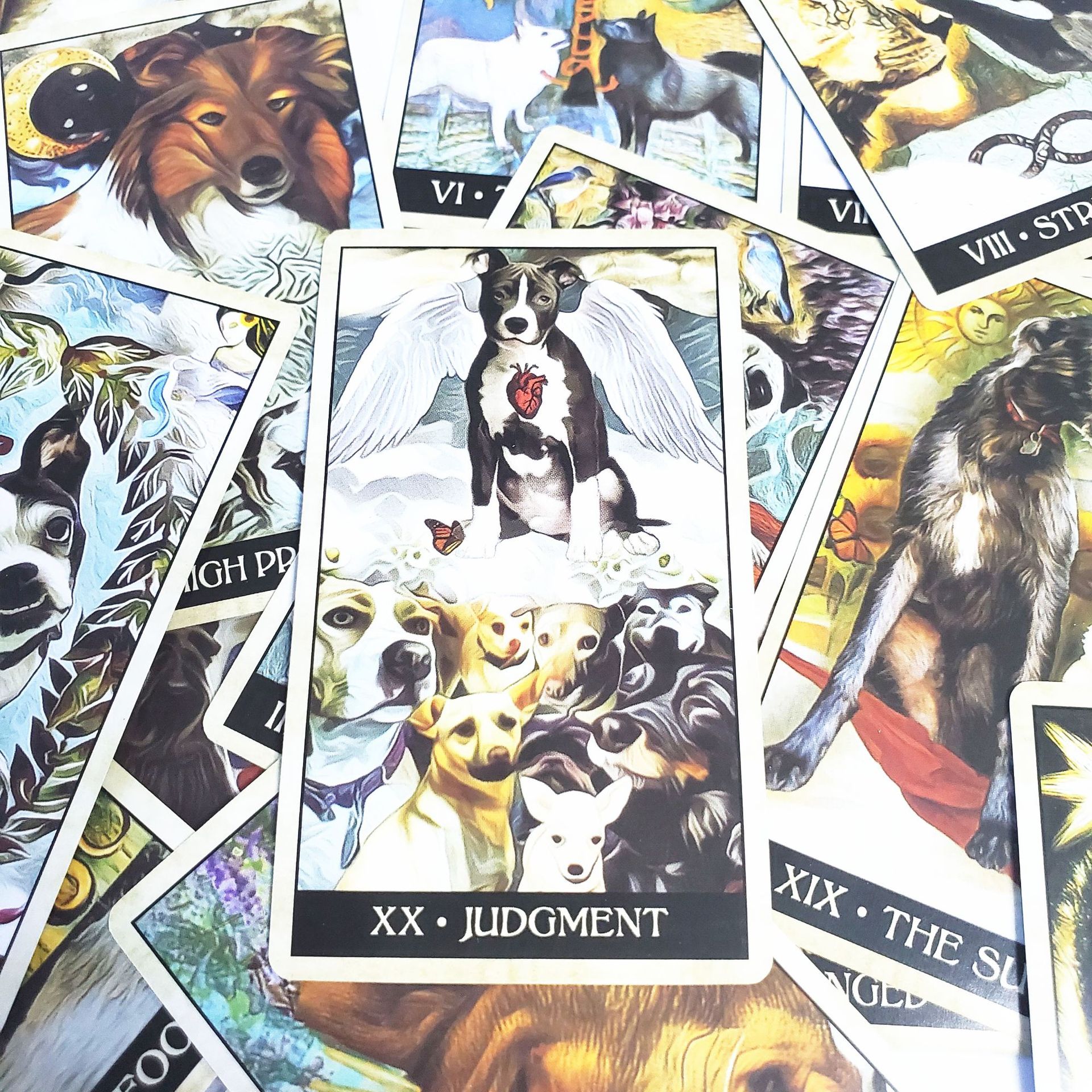 聰明狗塔羅牌Wise Dog Tarot-魔法塔羅