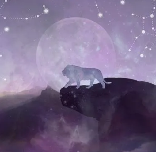 十二星座和七脈輪能量