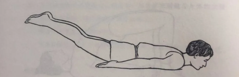 開啟海底輪的練習-瑜伽與其他