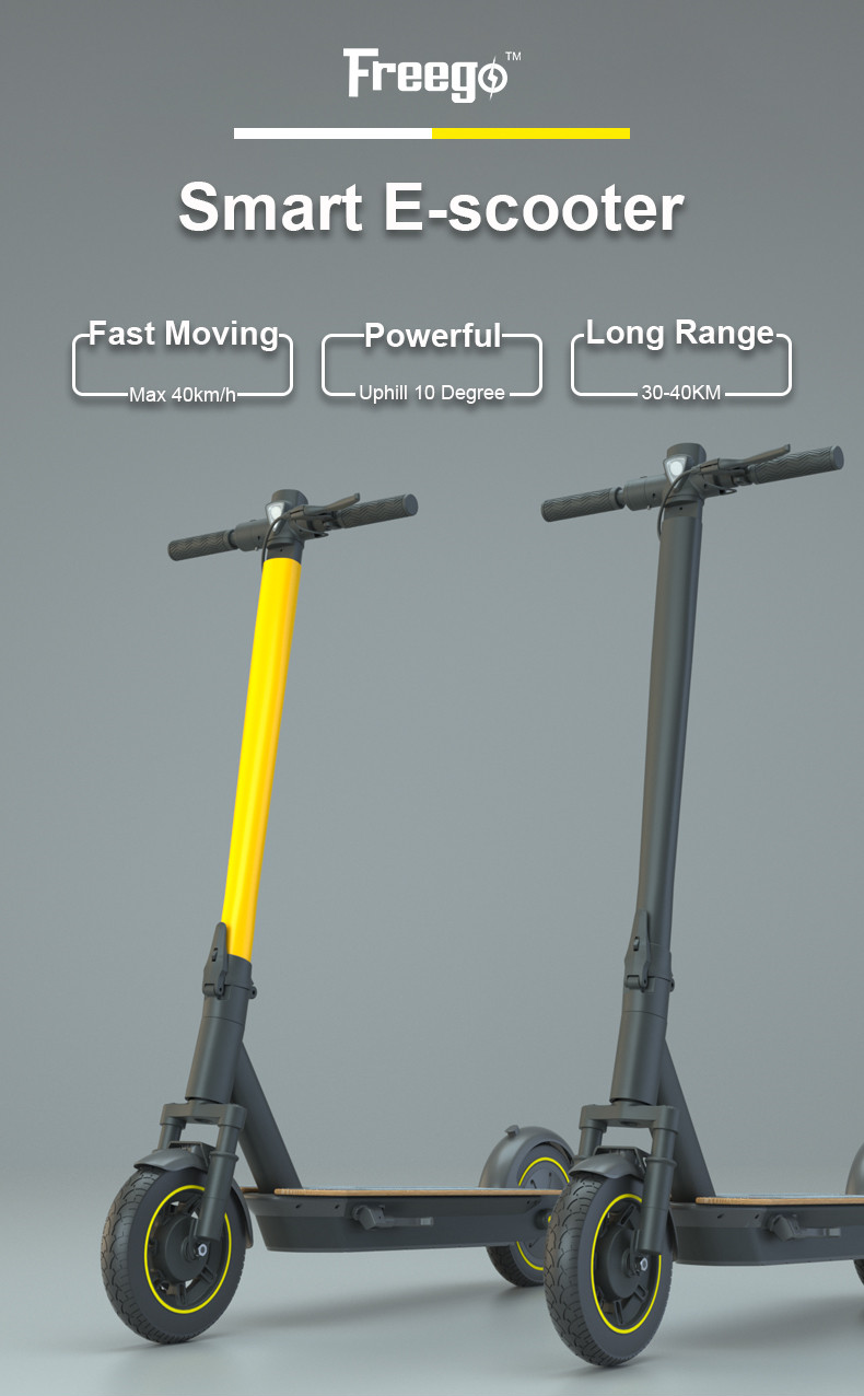 Factory Electric Scooters Outlets Freego