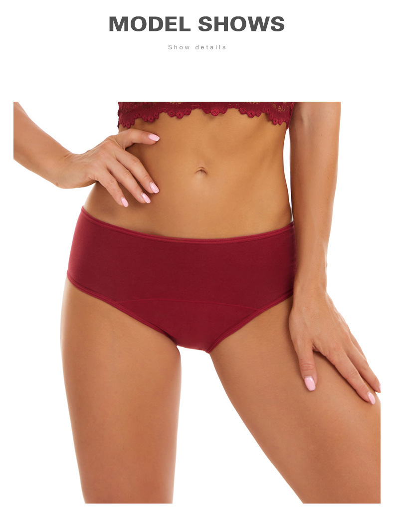 Women Washable Leak Proof Absorbable Panties for Periods and Incontinence -  SLK821 – CARERSPK