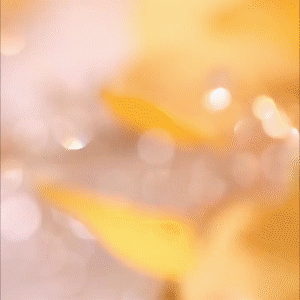 白色小花流蘇珍珠耳環【一款兩戴設計】-FANYIACC