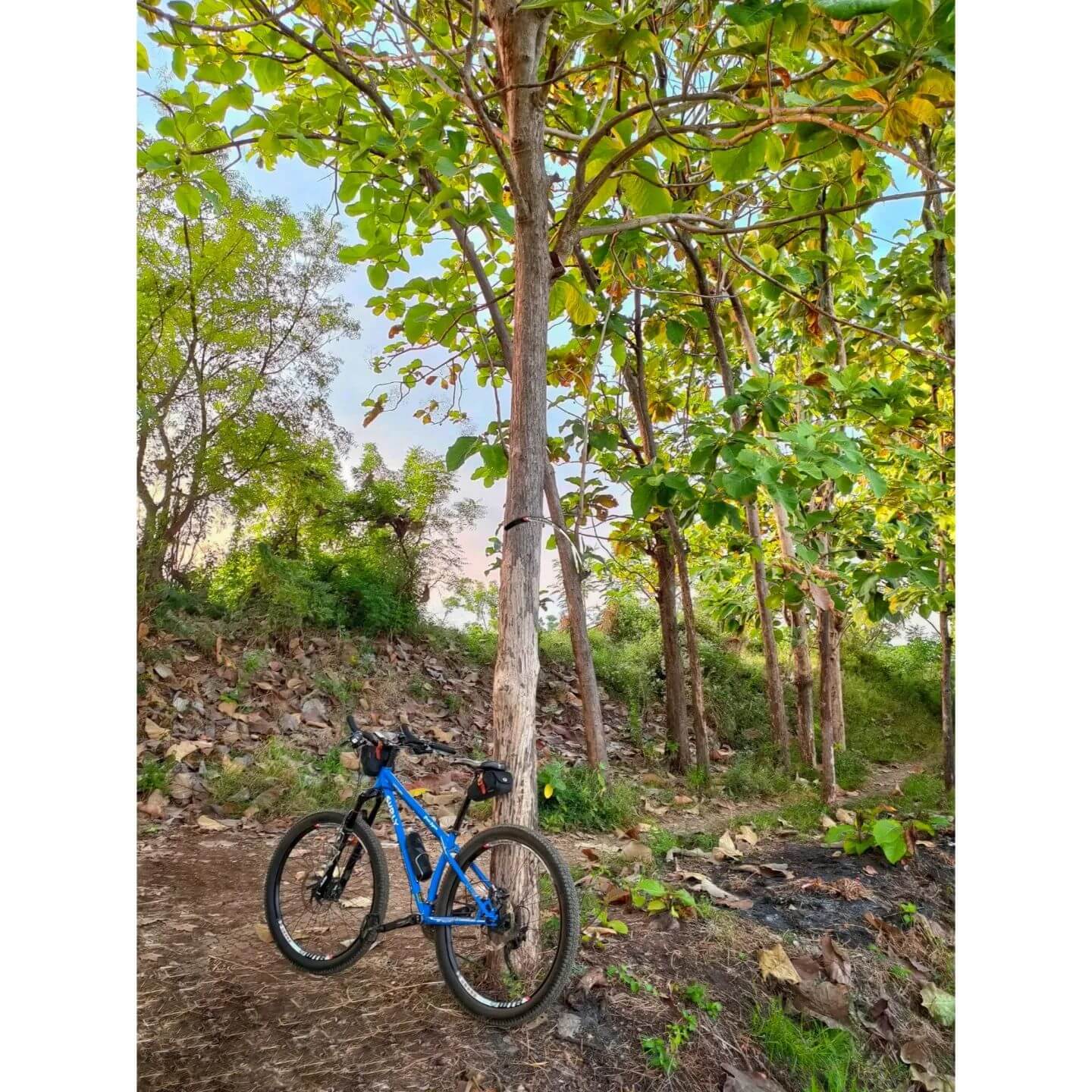 retro bicycle saddle bags