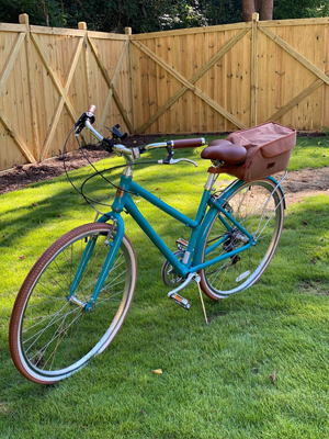 green bike bag