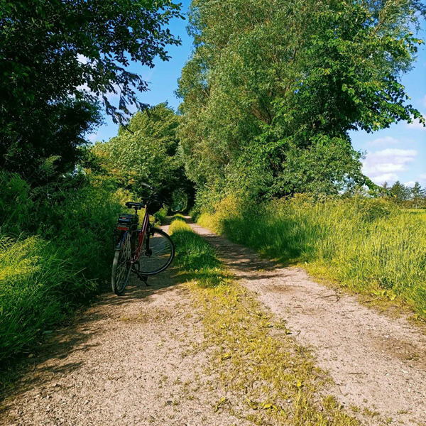 canvas bicycle handlebar bag