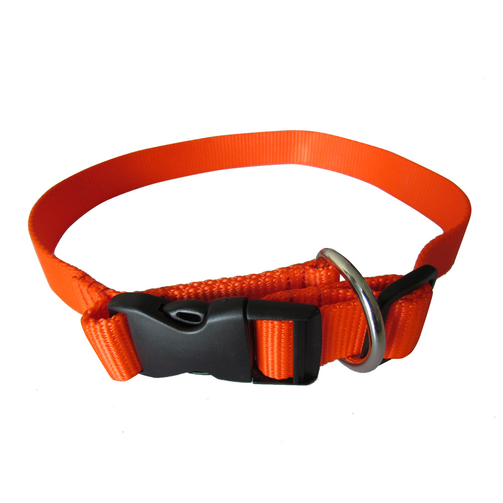 TOURBON Sporting Nylon Webbing Dog Collar Hunting Dog Safety Strap - Orange