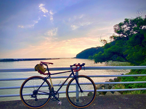 tourbon handlebar bag