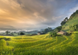 创建商品场景-多规格商品40张图片-商品描述图片+视频+表格+各种设置