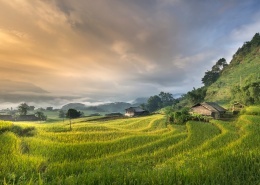 创建商品场景-多规格商品40张图片-商品描述图片+视频+表格+各种设置