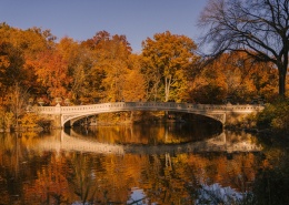 创建商品场景-多规格商品40张图片-商品描述图片+视频+表格+各种设置