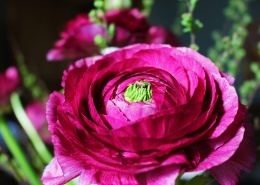 创建商品场景-多规格商品40张图片-商品描述图片+视频+表格+各种设置