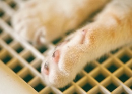 创建商品场景-多规格商品40张图片-商品描述图片+视频+表格+各种设置