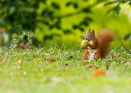 创建商品场景-多规格商品40张图片-商品描述图片+视频+表格+各种设置