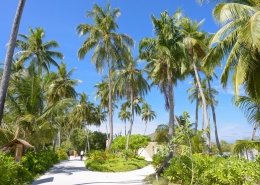 创建商品场景-多规格商品40张图片-商品描述图片+视频+表格+各种设置