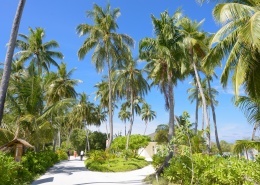 创建商品场景-多规格商品40张图片-商品描述图片+视频+表格+各种设置