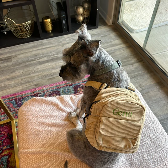 Personalized Embroidery Kid Color Backpack