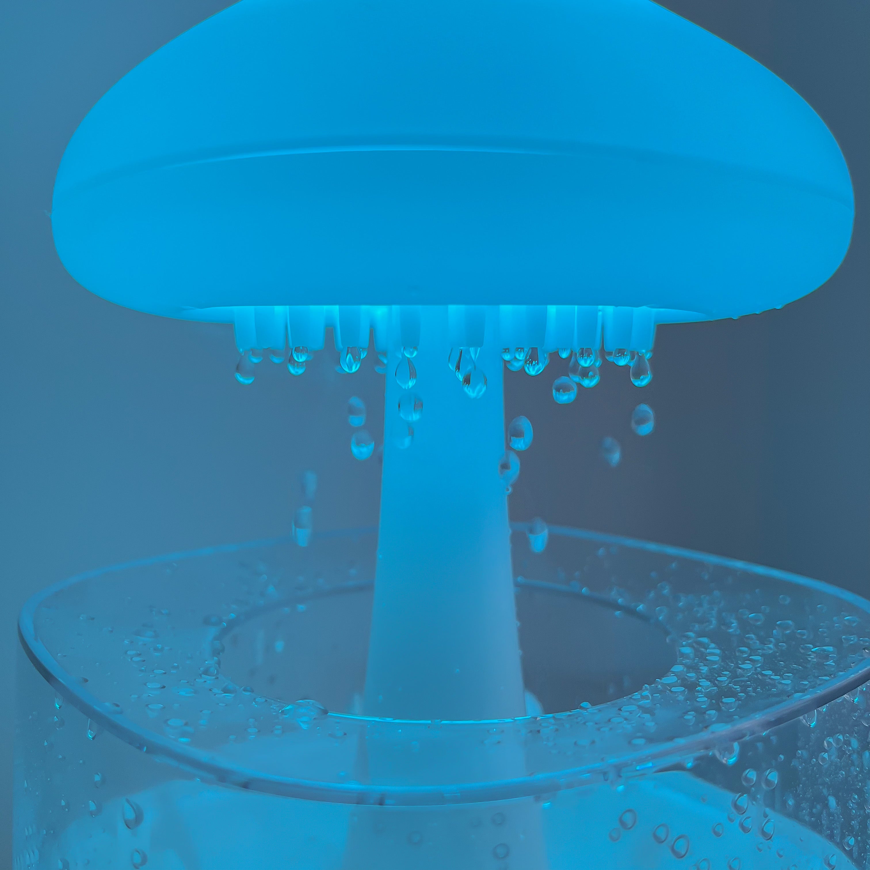 Rain Cloud Humidifer