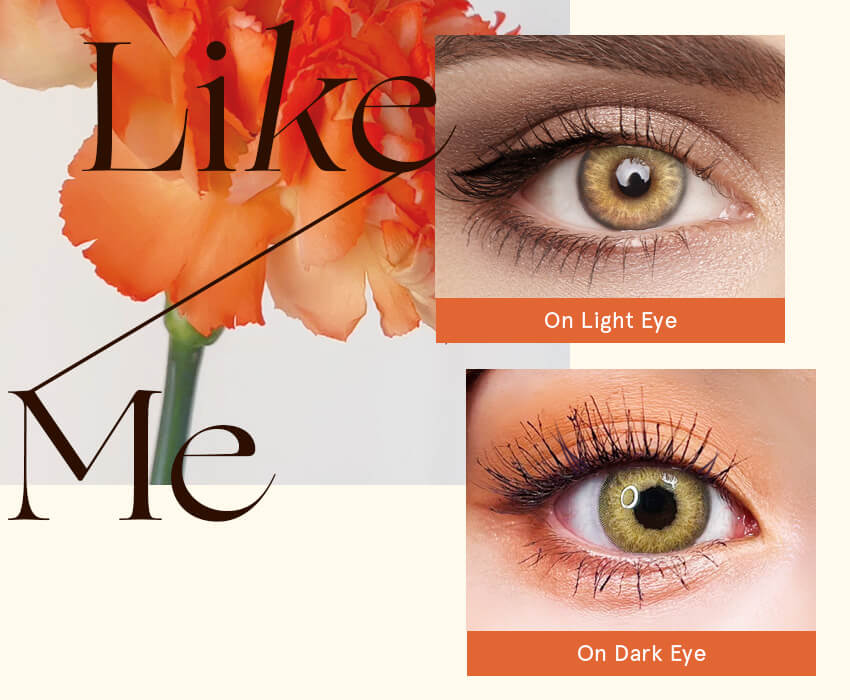 美瞳插件——Shadow Brown