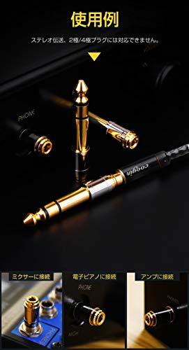 cooyin (cy63) 6.35mmオス-3.5mmメス 変換プラグ