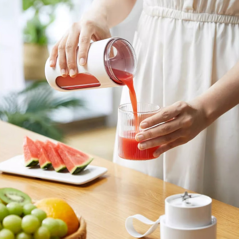 User Manual - Portable Blender ZZJH006