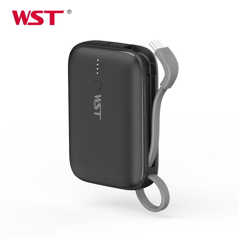 fast charging mini power bank 10000mah with cable PD 20W QC 22.5W power bank small DL103S